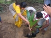 HABARANA-2017-TREE-PLANTING