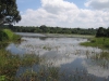 habarana-lake