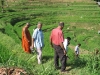 HIPPOLA WALK TO WELL SITE