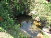 HIPPOLA WATER IN WELL SITE