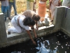 MEDERIGAMA OPENING TAKING WATER