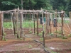 SIGIRIYA GARDEN CROP SUPPORTS