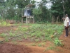 SIGIRIYA GARDEN WATER PUMP AND CROPS