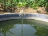 WEHERAYAYA OPENING WATER IN THE WELL